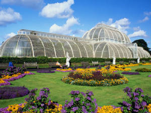 greenhouse-5.jpg